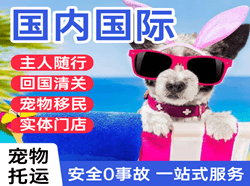 地窝堡航空快递国际宠物托运 【国